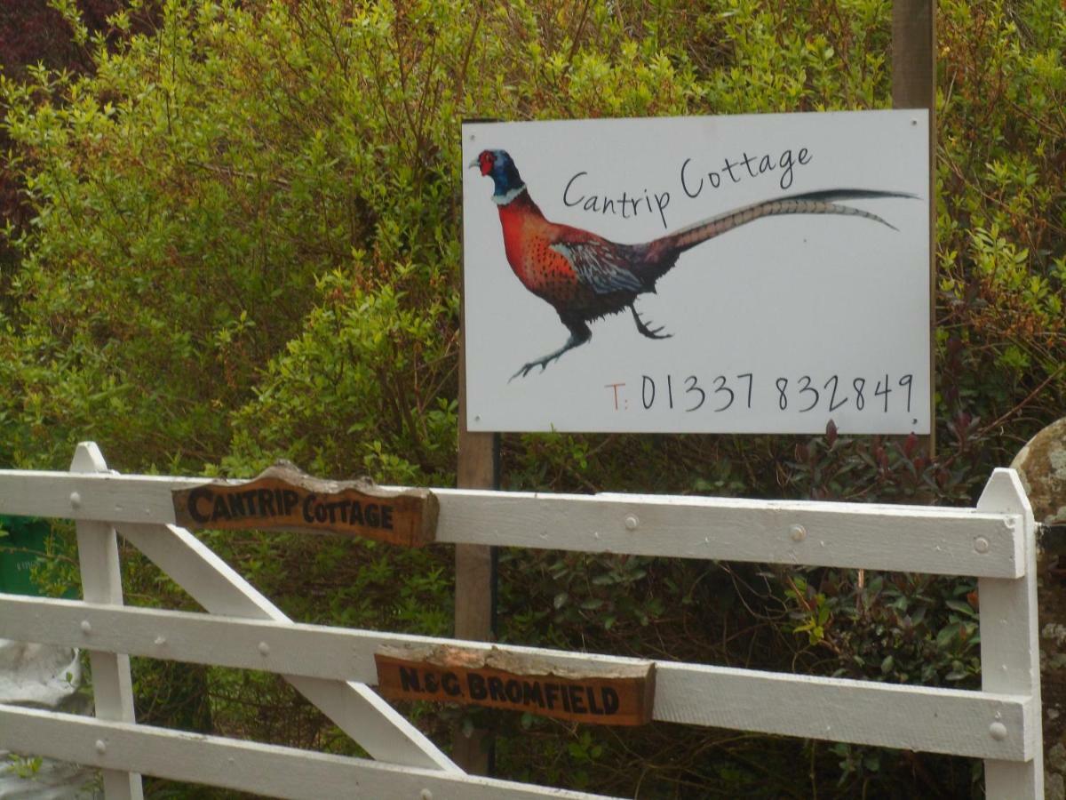 Cantrip Cottage Cupar Exterior photo